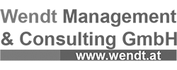 logo Wendt Management & Consulting
